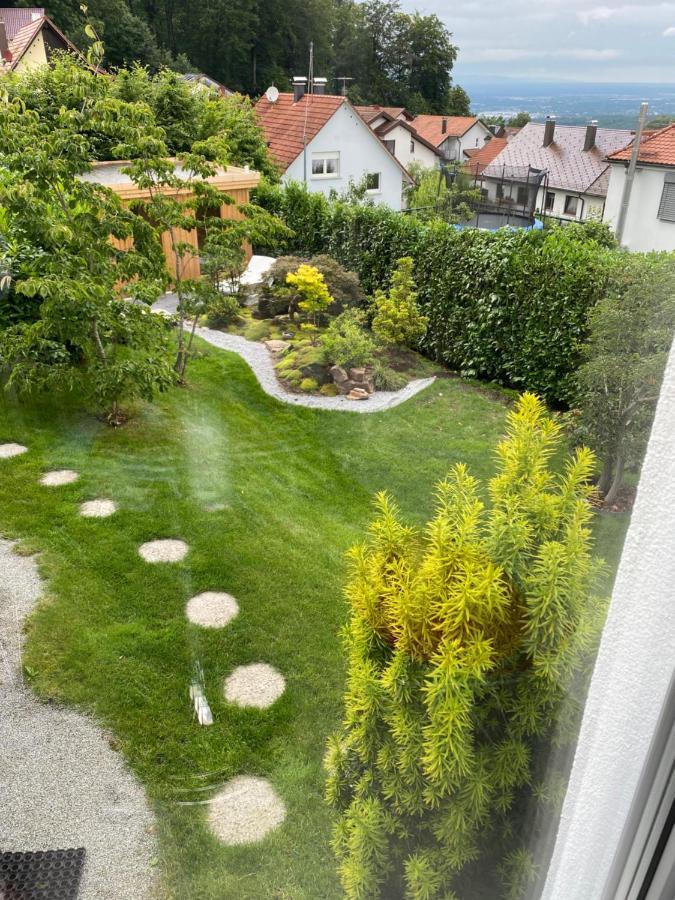 Modernes Studio Auf Der Sonnenterrasse Baden-Baden Kültér fotó