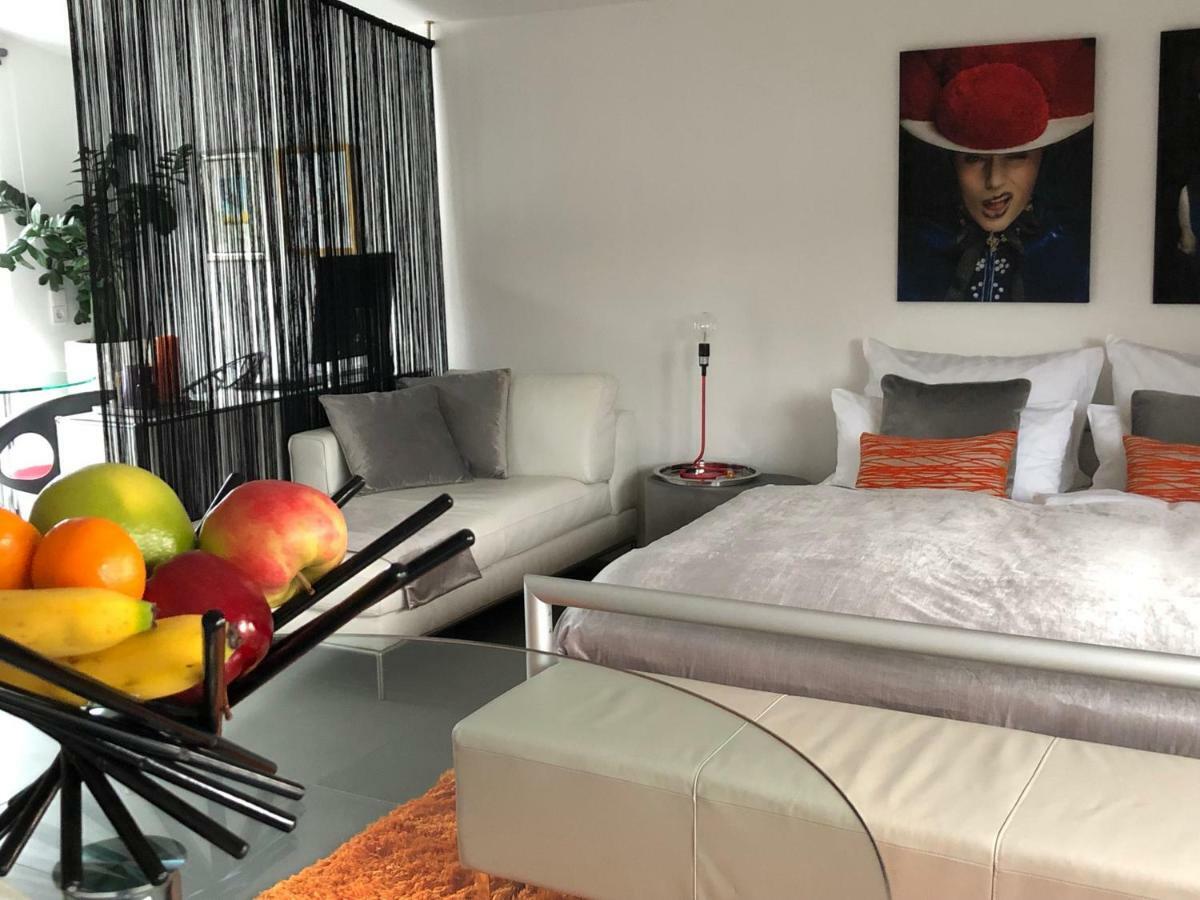 Modernes Studio Auf Der Sonnenterrasse Baden-Baden Kültér fotó