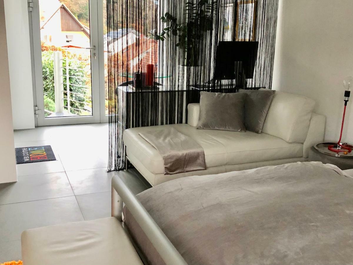 Modernes Studio Auf Der Sonnenterrasse Baden-Baden Kültér fotó
